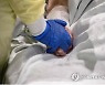 美 당국 "3주동안 하루 4400명씩 사망 예상"