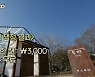 '윤스테이' 구례 장악한 팀워크, 윤여정X최우식 앙상블의 힘 [종합]