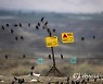 MIDEAST PALESTINIANS ANIMALS BIRDS
