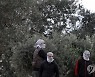 MIDEAST PALESTINIANS ISRAEL CONFLICT