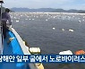 남해안 일부 굴에서 노로바이러스 확인