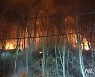 겨울 산불, 하루 새 전국에서 6건..산림당국 비상