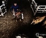 ARGENTINA MEAT