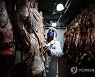 ARGENTINA MEAT