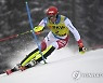 AUSTRIA ALPINE SKIING WORLD CUP