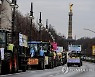GERMANY AGRICULTURE PROTEST