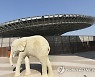 Dubai EXPO