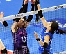 [포토] 김연경-조송화 '치열한 힘겨루기'