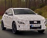 SUV·전기차도 고성능 수요.. 현대차 'N브랜드' 확장