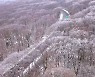 오후부터 전국 곳곳에 눈..중부 최대 15cm 눈폭탄 