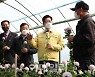 코로나 직격탄 맞은 화훼농가 '사면초가'..탈출구가 없다