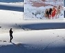 '사하라 사막'이 하얗게 변했네..3년만의 눈 진풍경