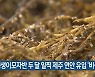 괭생이모자반 두 달 일찍 제주 연안 유입 '비상'