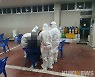 태백 철암확진자 접촉 299명 중 5번 확진자 빼고 모두 '음성'