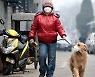 "개 짖는 소리에 불면증" 동네 개 22마리 독살한 中 70대