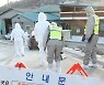 "제주 AI 결코 안전하지 않다"..겹겹 방역 '무장'