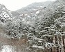 설국 속 Y자형 출렁다리