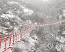 함박눈 속 거창 Y자형 출렁다리