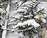 설경을 찍어라