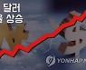 [외환] 원/달러 환율 4.5원 오른 1,103.9원(마감)
