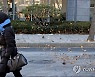 눈 그치니 바람