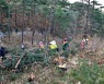 산청군, 공공산림가꾸기 사업 통해 지역 일자리 창출