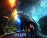 [포토]'아쿠아플라넷 광교' 개장