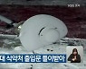 음주운전 20대 식약처 출입문 들이받아