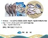 여수시, 설 맞이 '수산물 꾸러미' 30% 할인 판매 나서