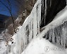 강원 한파에 '덜덜'..평창 면온 영하 22.1도