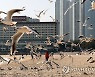부산 아침 최저기온 영하 3.8도..모레 비 소식