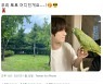아이돌 근황 사진에서 시작된 '앵무새' 찾기.."어디 숨었게요?"
