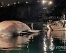 ITALY DEAD WHALE REMOVAL