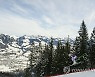 AUSTRIA ALPINE SKIING WORLD CUP