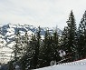 AUSTRIA ALPINE SKIING WORLD CUP