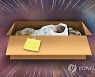 혹한에 갓 낳은 신생아 창밖으로 던져..숨지게 한 20대 친모 구속