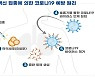 식약처, 국내 백신 물질 '유코백19' 임상 승인