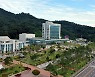 "아동학대 문제 전담할 아동보호TF 신설" [원주시]