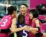 Pink Spiders super squad could break V-League wins record