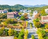 동국대 경주캠퍼스 수도권으로 옮기나?