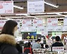 훌쩍 오른 밥상물가, 설 차례상 비용 1년새 32만→36만원 '쑥'