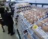 고병원성 AI에 미국산 달걀 60톤 26일부터 공매