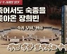 한 품은 장희빈, 죽어서도 숙종을 쫓아간 사연