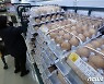 "치솟은 달걀값 안정될까?"..미국산 흰달걀 60t 국내서 판매된다