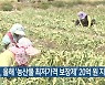 전라북도, 올해 '농산물 최저가격 보장제' 20억 원 지원