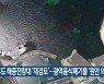 우도 해중전망대 '재검토'..광역음식폐기물 '원안 의결'