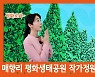 화성시, 아트숨비 매향리 평화생태공원 작가정원 조성 공모전 개최