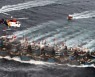 中정부의 내로남불.."영해 내 불법 선박에 무기사용 OK"