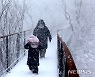 내일부터 강원산지 최대 30cm 눈..서울 아침 5도