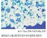 [그림과 詩가 있는 아침] 여름 아침/김수영